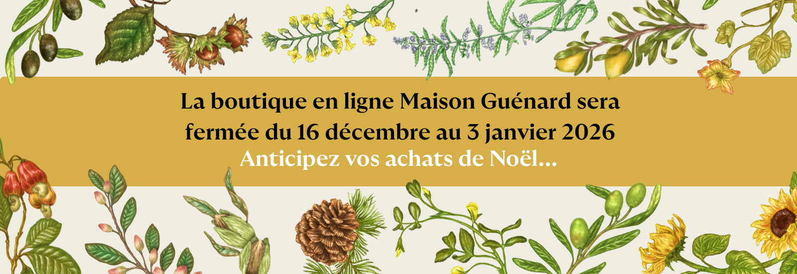 revolution slider image 98