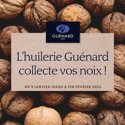 La collecte de noix des particuliers est ouverte ! 
