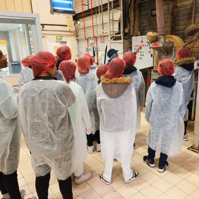 Retour en images sur la visite de collégiens dans notre huilerie !