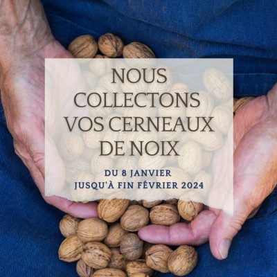 Notre collecte de noix 2024 est ouverte !