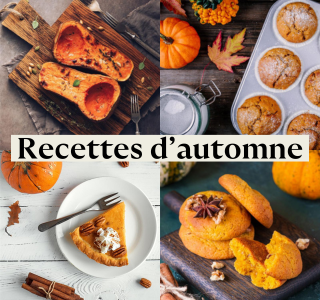 Nos meilleures recettes d'automne 