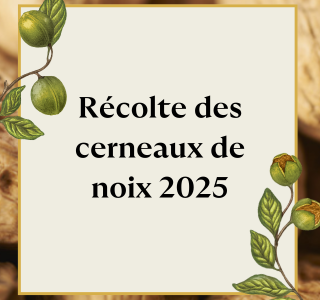 Récolte des noix des particuliers 2025