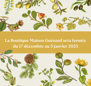 Fermeture de la boutique Noël