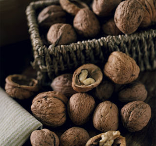 La récolte des noix débute