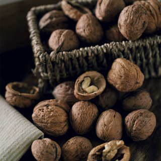 La récolte des noix débute